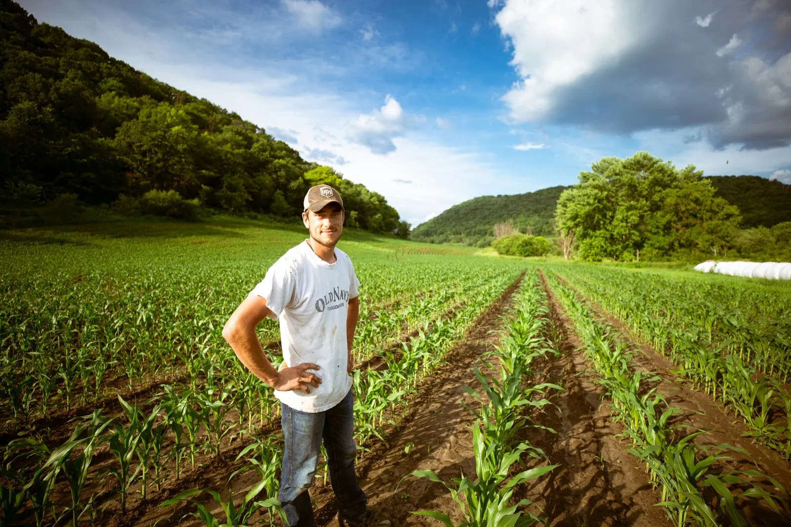 A farmer standing among young rows of corn in a river valley, wooded hills rising behind the field